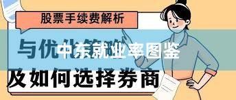 中东就业率图鉴